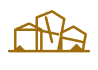 icon DSM